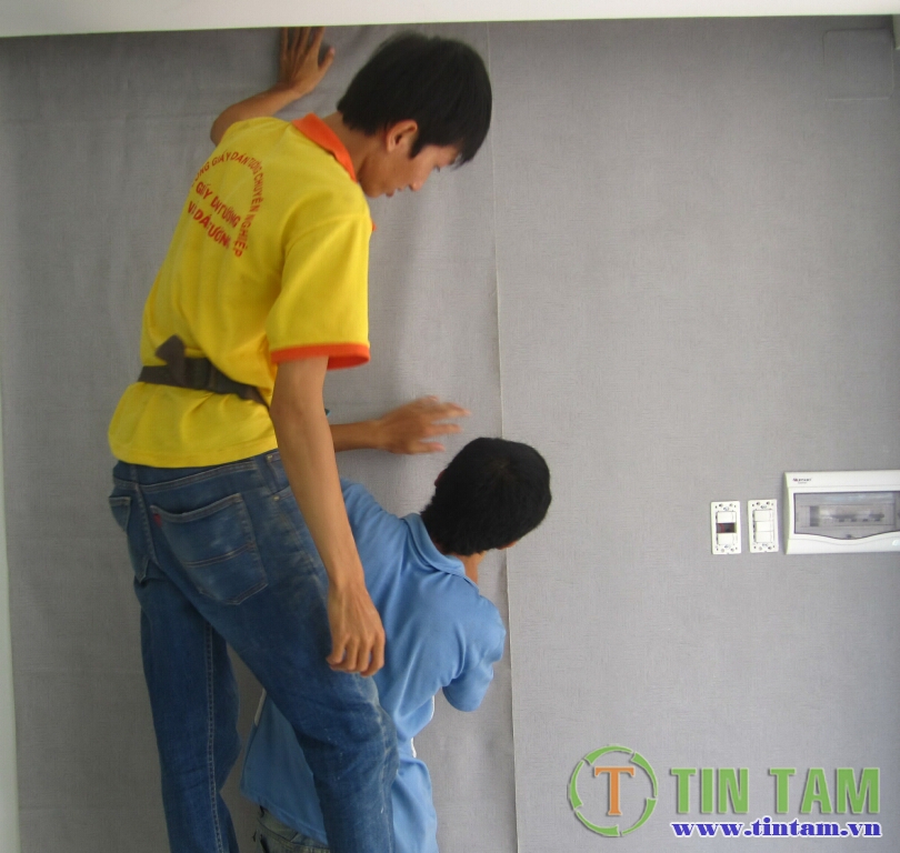 thi cong giay dan tuong tintam