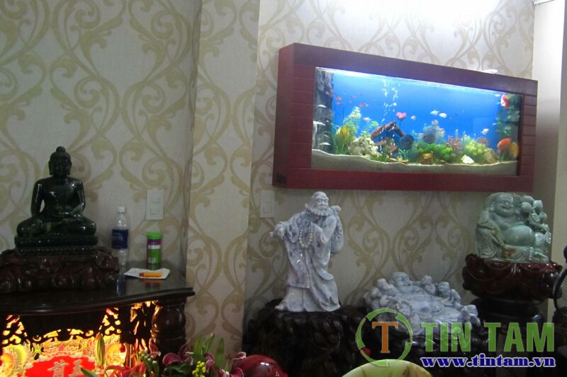 giay dan tuong